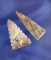 Pair of Triangular points found in Adams Co., Ohio.  One is nicely serrated.  Ex. Gene Buehl collect