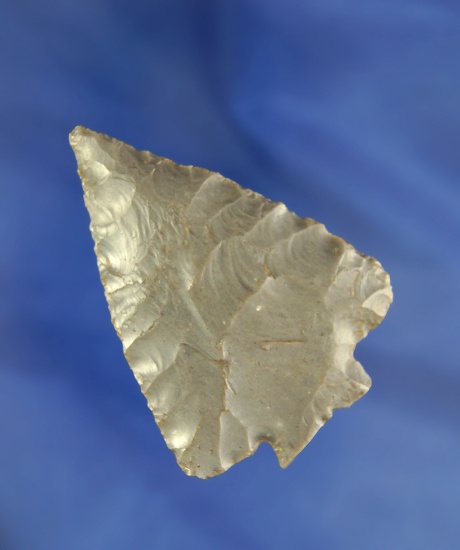 2 9/16" Hornstone Fractured Base Decatur found in Ohio.  Ex. Steve Olenick collection.  Pictured.