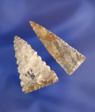 Pair of Triangular points found in Adams Co., Ohio.  One is nicely serrated.  Ex. Gene Buehl collect