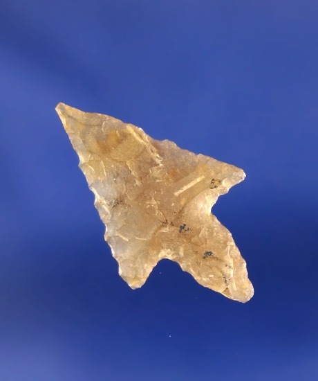 15/16" nicely styled translucent Birdpoint found in the western U.S.