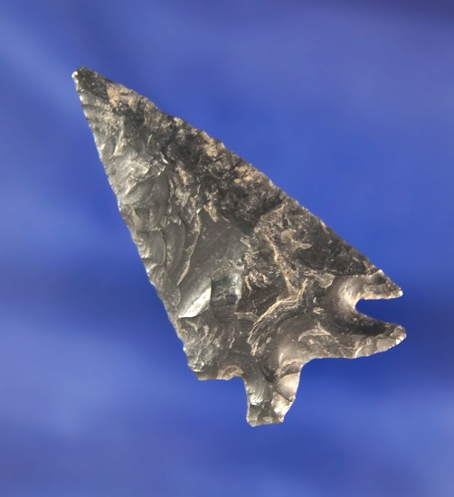 1 15/16" Obsidian Elko Eared found near Fort Rock, Oregon.