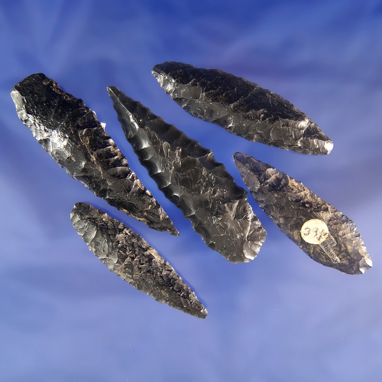 Set of five Cascade points made from Obsidian found in Oregon. Largest is 2 11/16".