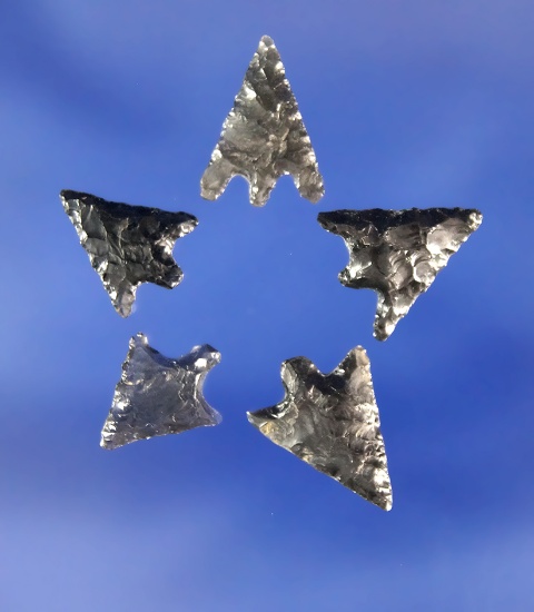 Set of five delicately made Obsidian arrowheads found in Oregon and Northern California.