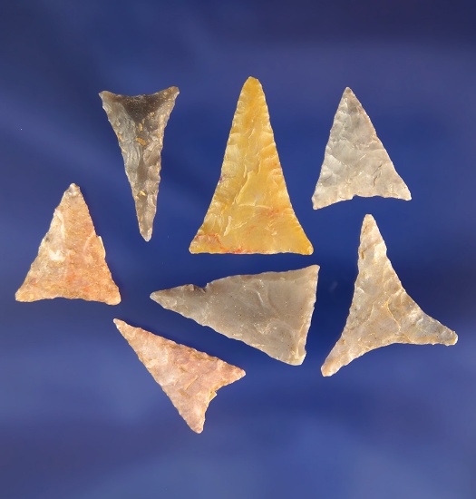 Set of seven nicely styled triangular arrowheads found in various locations in the U.S.