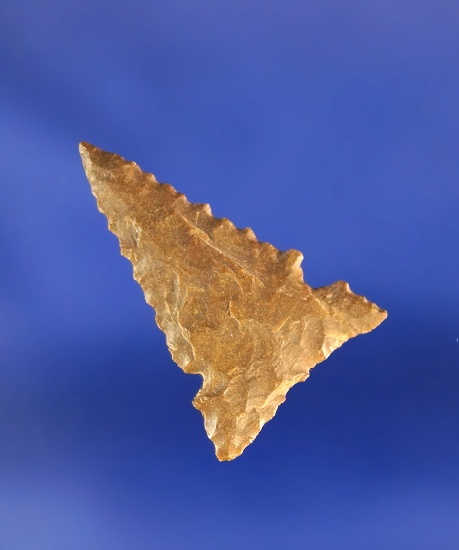 15/16" sidenotch found in the Columbia River basin.