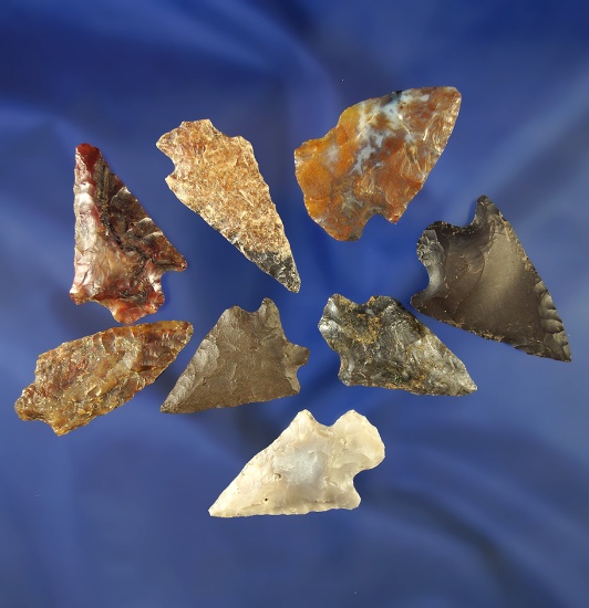 Group of eight assorted arrowheads, largest is 1 7/16".