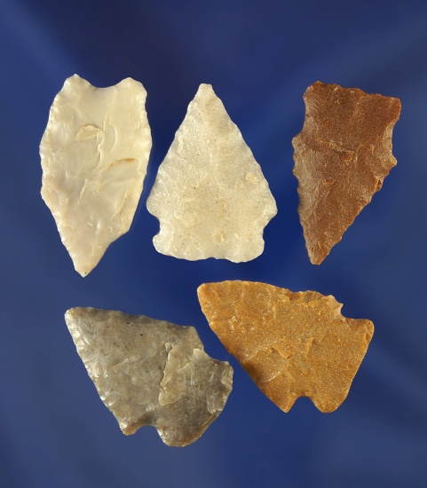Set of five assorted arrowheads, largest is 1 1/8". Wyoming.