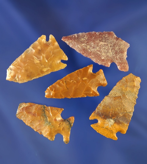 Set of five restorable arrowheads made from quality material that are nicely flaked,  Wyoming.