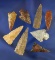 Set of eight assorted arrowheads, largest is 1 9/16
