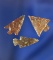 Nice set of three Columbia River arrowheads in good condition. Largest is 5/8