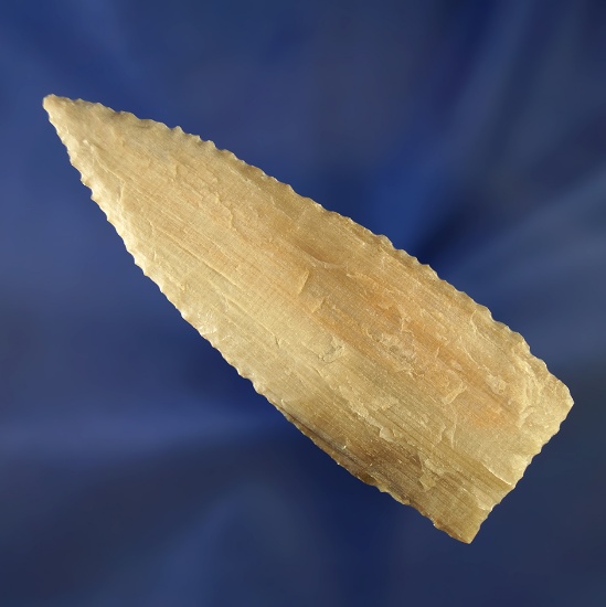 3 9/16" Thin and well made Petrified wood knife with very unique edge serrations.