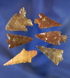 Group of six assorted Columbia River arrowheads, largest is 1 1/2