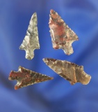 Set of four arrowheads in nice condition, largest is 1 1/8