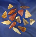 Set of 14 assorted triangular and leaf shaped points found near the Columbia River.