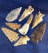 Set of seven arrowheads and one elk tooth found in the site near Vantage, Washington