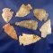 Group of Seven assorted arrowheads found in Missouri, largest is 2 1/4