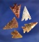 Set of five arrowheads found near the Columbia River in nice condition, largest is 1