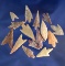 Set of 15 African Neolithic arrowheads in very nice condition found in the northern Sahara.