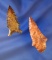 Pair of arrowheads found in Arkansas that are well patinated, largest is 2 1/8