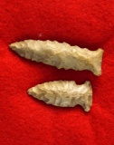 Pair of Fishspear points, largest is 2 1/8