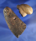 Pair including a fossilized tooth and a 3 1/4