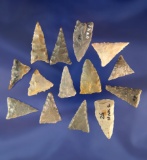 Set of 14 assorted triangular-shaped and stemmed arrowheads found in Kentucky.