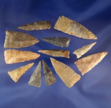 Set of 12 Triangle points found in Kentucky, largest is 2 1/8