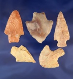 Set of five assorted Missouri arrowheads, largest is 2 3/16