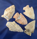 Set of five assorted arrowheads in nice condition found in Missouri, largest is 2 3/8