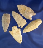 Set of five assorted arrowheads found in Missouri, largest is 2 1/2