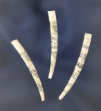 Set of three highly incised designed Dentalia shell beads found near the Columbia River.