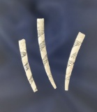 Set of three highly incised designed Dentalia shell beads found near Mary Hill, Washington by the Co