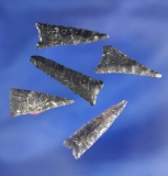 Nice set of five triangular arrowheads found in Oregon, largest is 1 1/8
