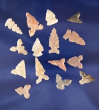 Set of 15 assorted bird points found in Texas, largest is 15/16