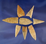 Set of eight thin and well flaked triangular-shaped arrowheads found in Kentucky.
