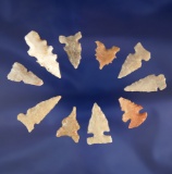 Group of 12 assorted southwestern U.S. arrowheads, largest is 1 1/2