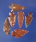 Set of six arrowheads made from attractive Jasper, largest is 7/8