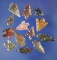 Group of 12 assorted Columbia River arrowheads. Largest is 3/4