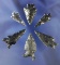 Set of six obsidian arrowheads found near Fort Rock Oregon, largest is 1 5/16