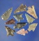 Assorted Columbia River arrowheads, largest is 7/8