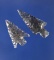 Pair of beautifully flaked obsidian arrowheads, largest is 1