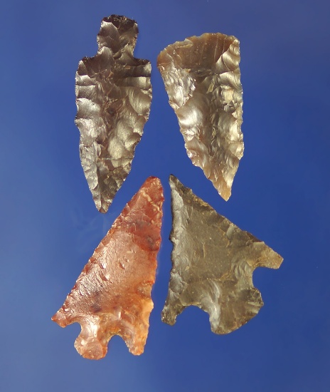 Set of four Columbia River arrowheads, largest is 1".    Columbia River.