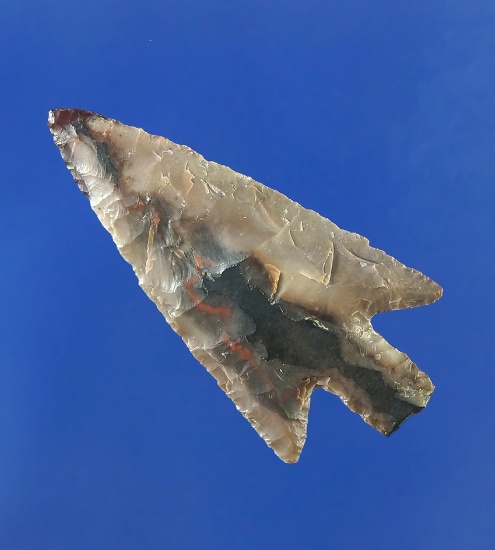 1 1/4" Wallula that is exceptionally well styled from petrified wood with nice flaking.