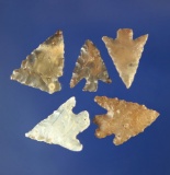 Set of five assorted arrowheads, largest is 11/16