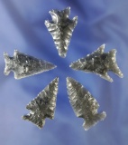 Set of five assorted obsidian arrowheads found near Fort Rock Oregon, largest is 1 5/16