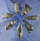 Group of Seven obsidian artifacts found near Fort Rock Oregon which are nicely patinated