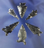 Set of six obsidian arrowheads found near Fort Rock Oregon, largest is 1 5/16