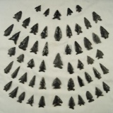 Group of assorted arrowheads found in Fort Rock Oregon, Most are obsidian. Largest is 1 5/8