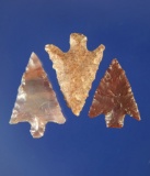 Set of three Columbia River Gempoints, largest is 11/16