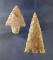 Pair of Pasco Co.,  Florida arrowheads, the larger Hernando is broken and glued near the tip.  E